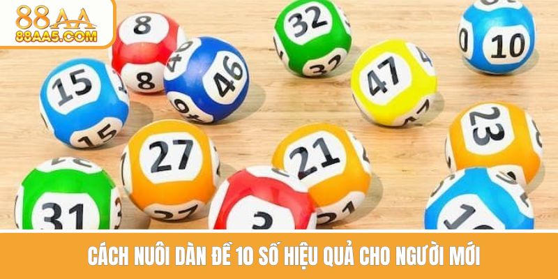 Cách nuôi dàn đề 10 số