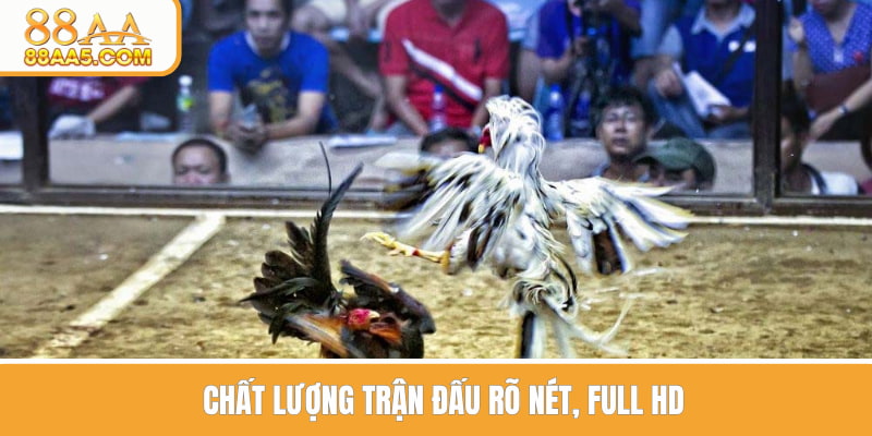 Chất lượng phát sóng các trận đấu full HD