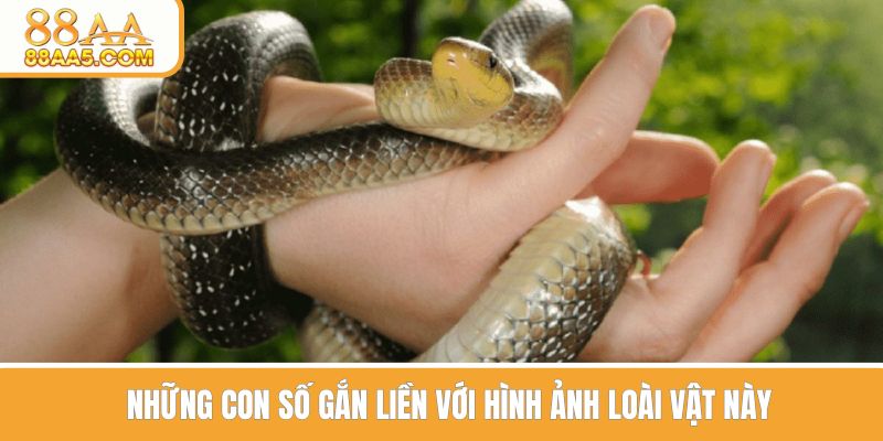 Những con số gắn liền với hình ảnh loài vật này