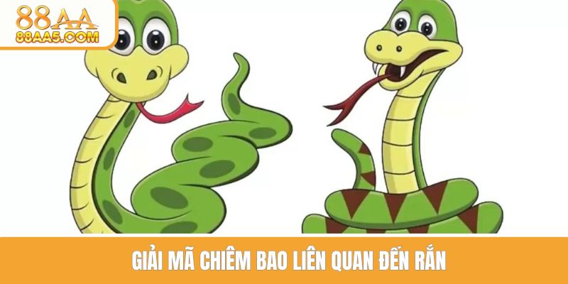Giải mã chiêm bao liên quan đến rắn