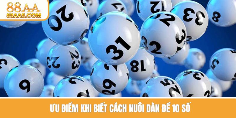 Ưu điểm khi biết nuôi dàn đề 10 số
